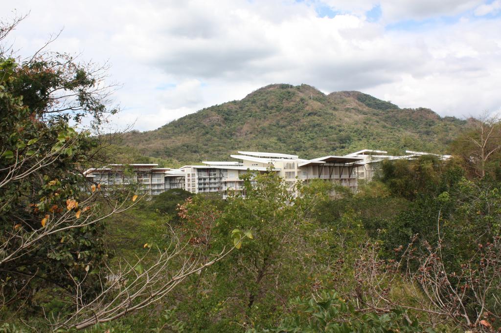Апартаменти Unit 507 Pico De Loro Насугбу Екстер'єр фото