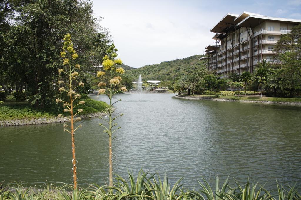 Апартаменти Unit 507 Pico De Loro Насугбу Екстер'єр фото